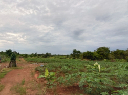 รถมือสอง อสังหาริมทรัพย์ ที่ดิน ปี 0 