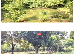 รถมือสอง อสังหาริมทรัพย์ ที่ดิน ปี 0 