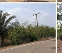 ขายที่ดินภ.บ.ท.รวมเนื้อที่20 ไร่พร้อมสวนปาล์ม ขุดสระน้ำไว้แล้ว