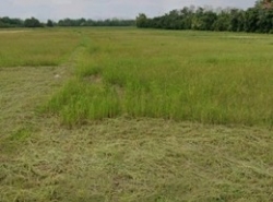 รถมือสอง อสังหาริมทรัพย์ ที่ดิน ปี 0 