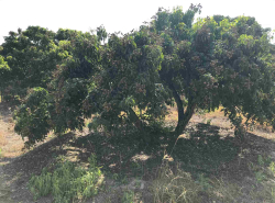 รถมือสอง อสังหาริมทรัพย์ ที่ดิน ปี 0 