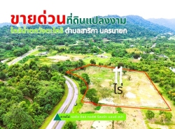 ขายที่ดินแปลงใหญ่สวยเนื้อที่ 11 ไร่ ต.สาริกา อ.เมืองนครนายก จ.นครนายก 