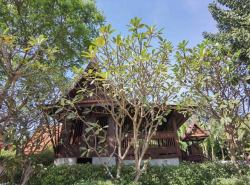 รถมือสอง อสังหาริมทรัพย์ บ้าน ปี 0 