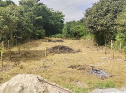 รถมือสอง อสังหาริมทรัพย์ ที่ดิน ปี 0 