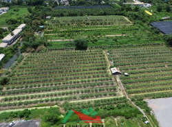 รถมือสอง อสังหาริมทรัพย์ ที่ดิน ปี 0 