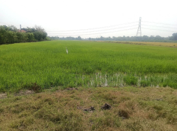 รถมือสอง อสังหาริมทรัพย์ ที่ดิน ปี 0 