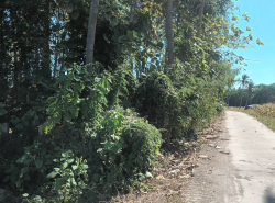 รถมือสอง อสังหาริมทรัพย์ ที่ดิน ปี 0 