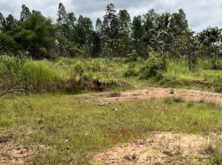 ขายด่วน! ที่ดินอุบลฯ 5 ไร่ สวยๆ เพียง 800,000 บาท คุ้มสุด!!