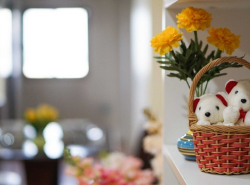 รถมือสอง อสังหาริมทรัพย์ คอนโดมิเนียม ปี 0 
