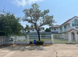 รถมือสอง อสังหาริมทรัพย์ ที่ดิน ปี 0 