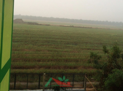 รถมือสอง อสังหาริมทรัพย์ อพาร์ทเม้น,หอพัก ปี 0 